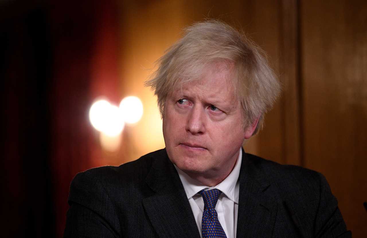 Top scientists say ‘not clear’ mutant Covid strain is more deadly after SAGE warning handed to Boris ‘only 50% certain’