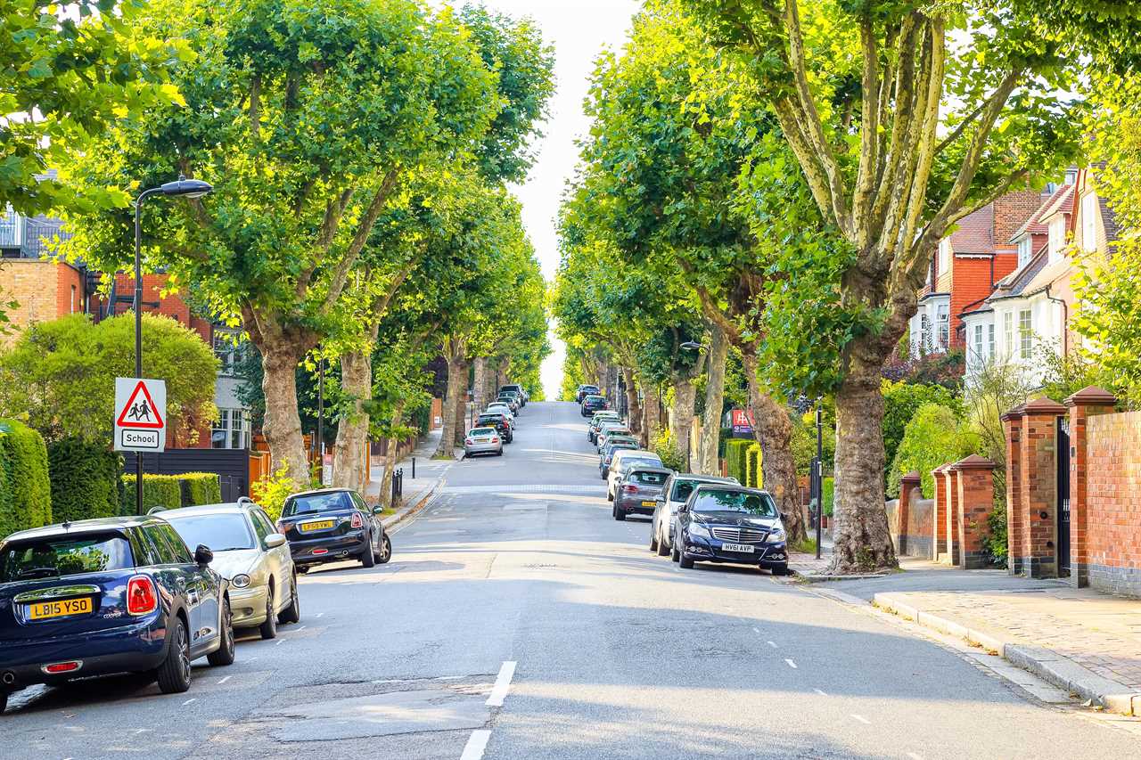 All new UK streets set to be lined with trees to make more beautiful neighbourhoods
