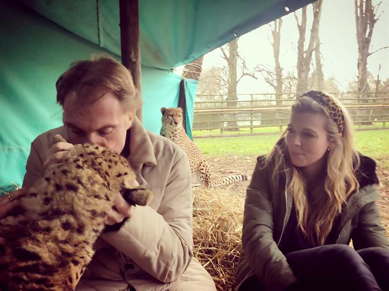 Carrie Symonds bonds with two cheetah brothers at wildlife park in Kent