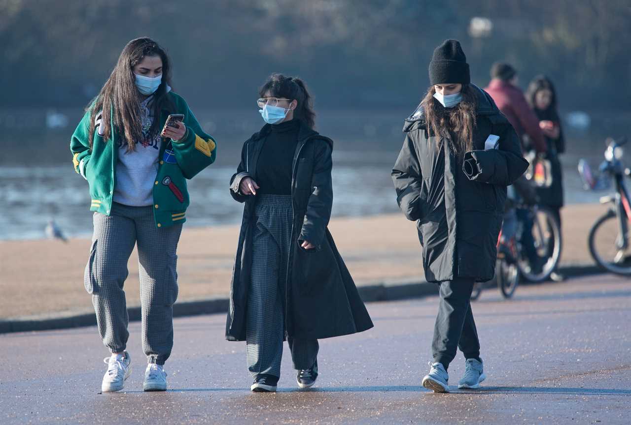 Brits should wear masks in crowded outdoor spaces including parks & supermarket queues to stop mutant Covid, SAGE warns