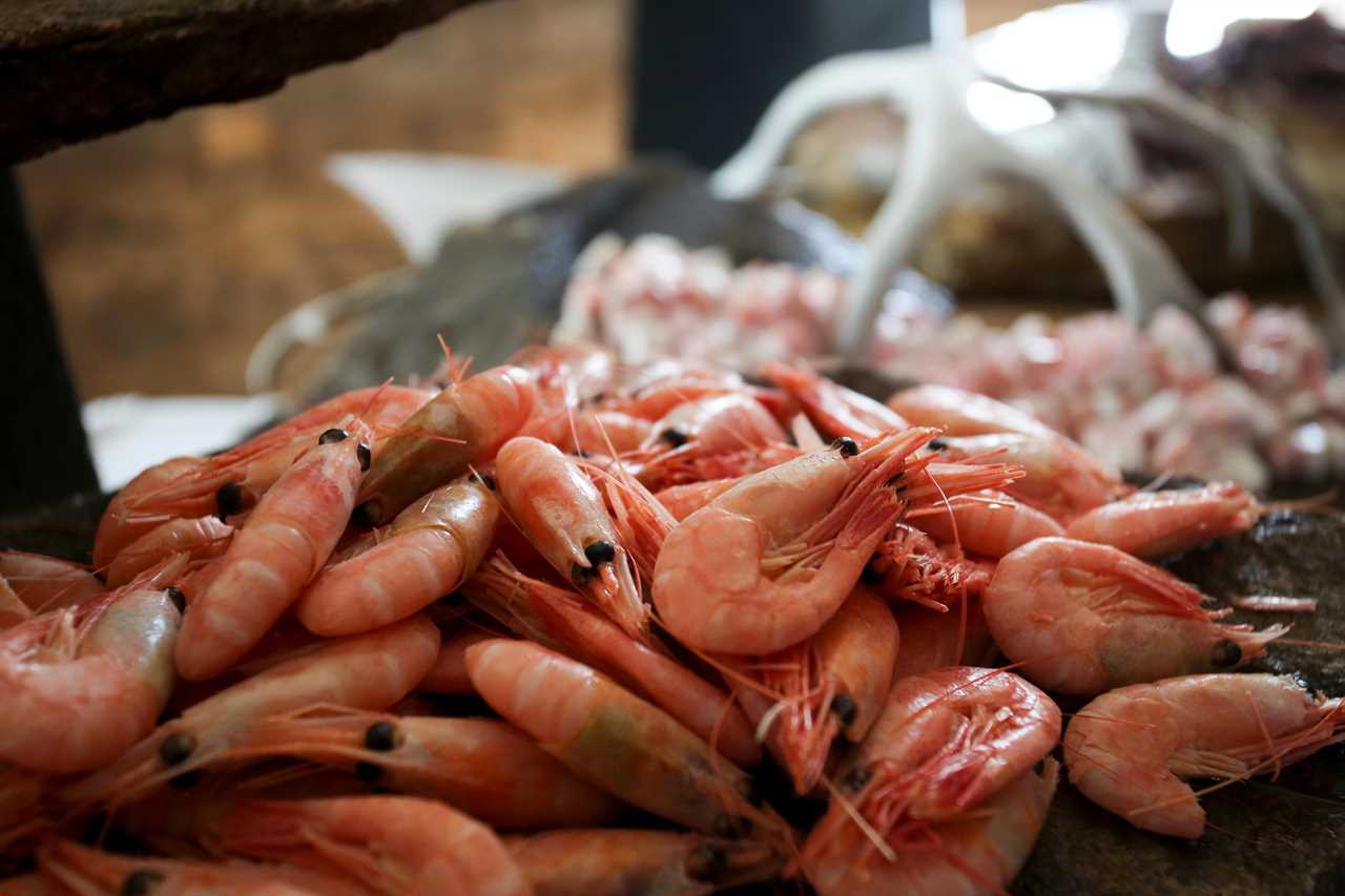 Britain faces post-Brexit prawn crisis due to large UK tariffs on fish caught around Greenland