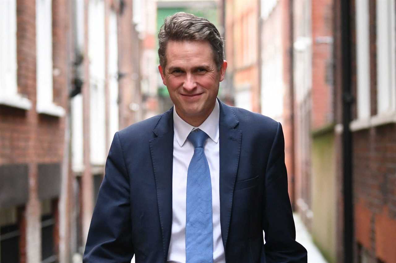 Boris hasn’t forgotten Blue Wall Brits who put him in No10, Gavin Williamson vows as he plugs new apprenticeships