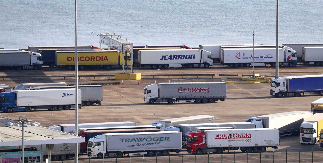 Dover port bosses dismiss Brexit doom-mongers as  freight traffic returns to normal