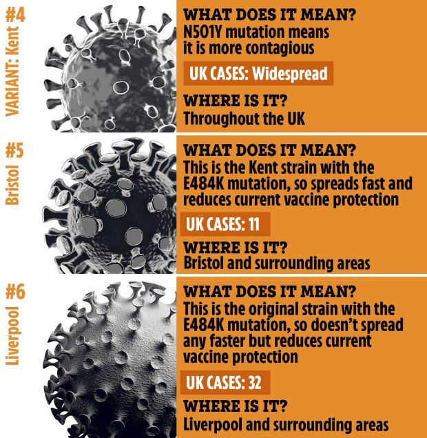 Bristol Covid variant could reinfect Brits who’ve been vaccinated with fears it could ‘rip’ across UK, Sage expert warns