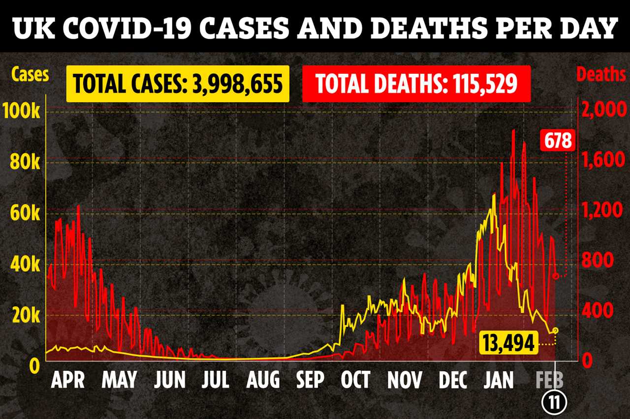 Covid is a ‘forest fire’ which will have flare ups in Britain for years to come, health insiders believe