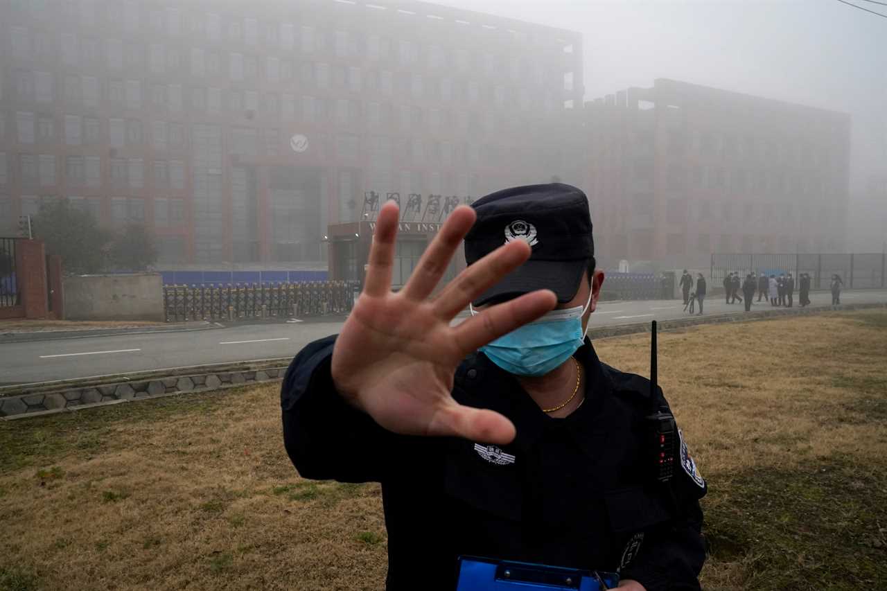 Wuhan lab in Covid ‘leak’ storm designed secret cages to breed BATS for virus experiments