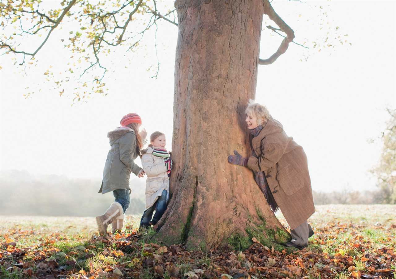 Grandparents could be able to reunite with grandkids next month as lockdown eases