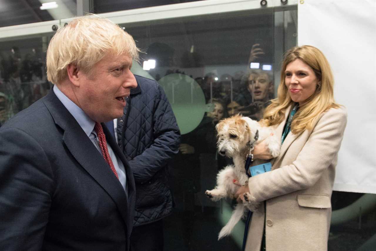 Boris Johnson yelled ‘someone shoot that f***ing dog’ after his pet Dilyn wrecked antique furniture