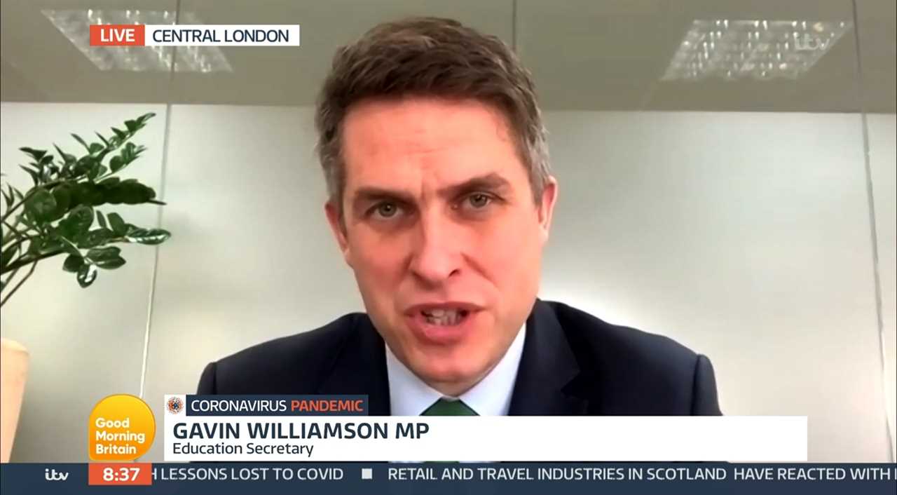 Gavin Williamson says ‘I’d carry a vaccine passport’ to get to restaurant or theatre as PM looks into ‘challenges’