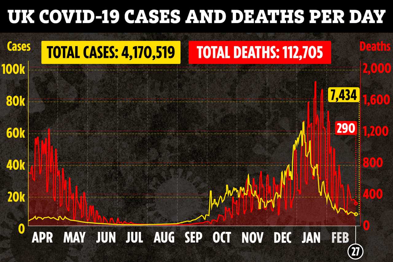 Lockdown roadmap should be sped up if Covid infections continue to plunge, says top expert