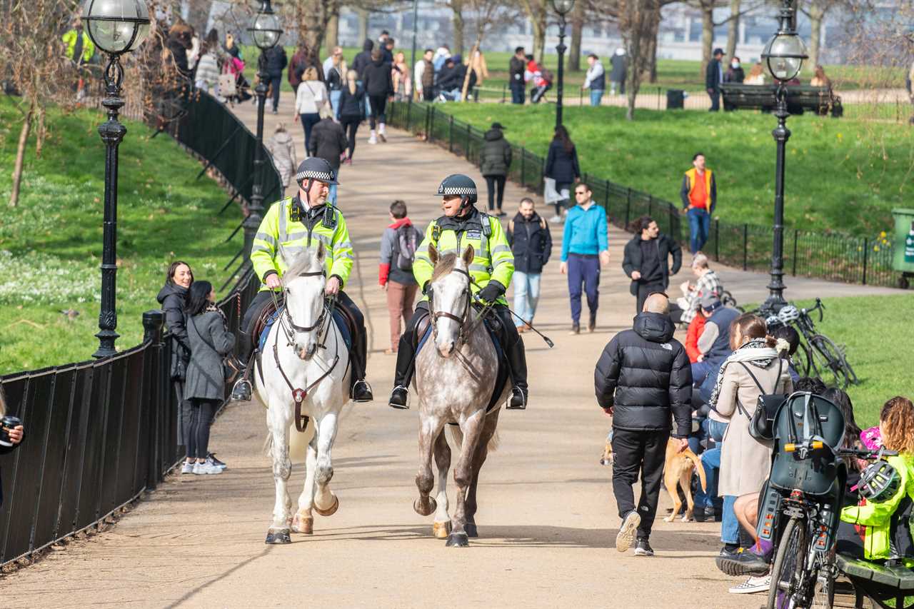 Cops no longer breaking up outdoor group mixing as they slam ‘unmanageable’ Covid rules after sunny crowds