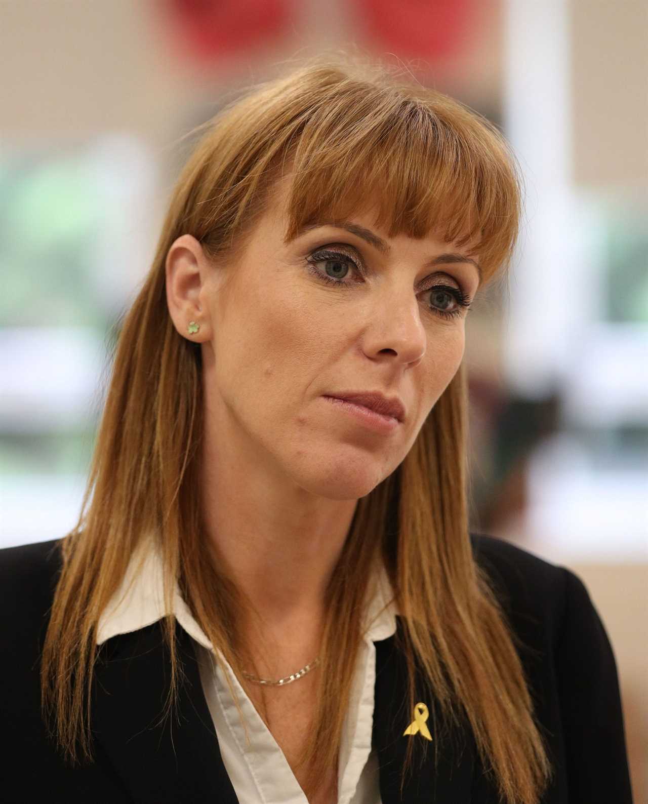 Labour’s deputy leader Angela Rayner claimed for SECOND pair of Apple AirPods on Commons expenses