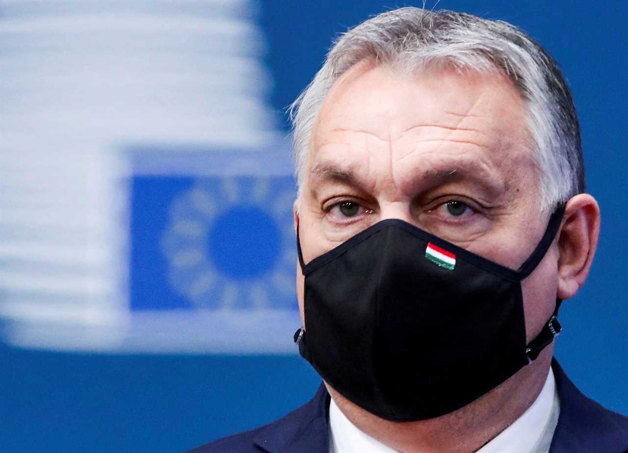 Eurocrats will be vaccinated in exclusive centres this month as EU’s jabs rollout chaos deepens