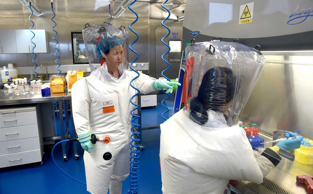 Covid outbreak may have come from BIOWEAPONS research accident, former top State Dept investigator says