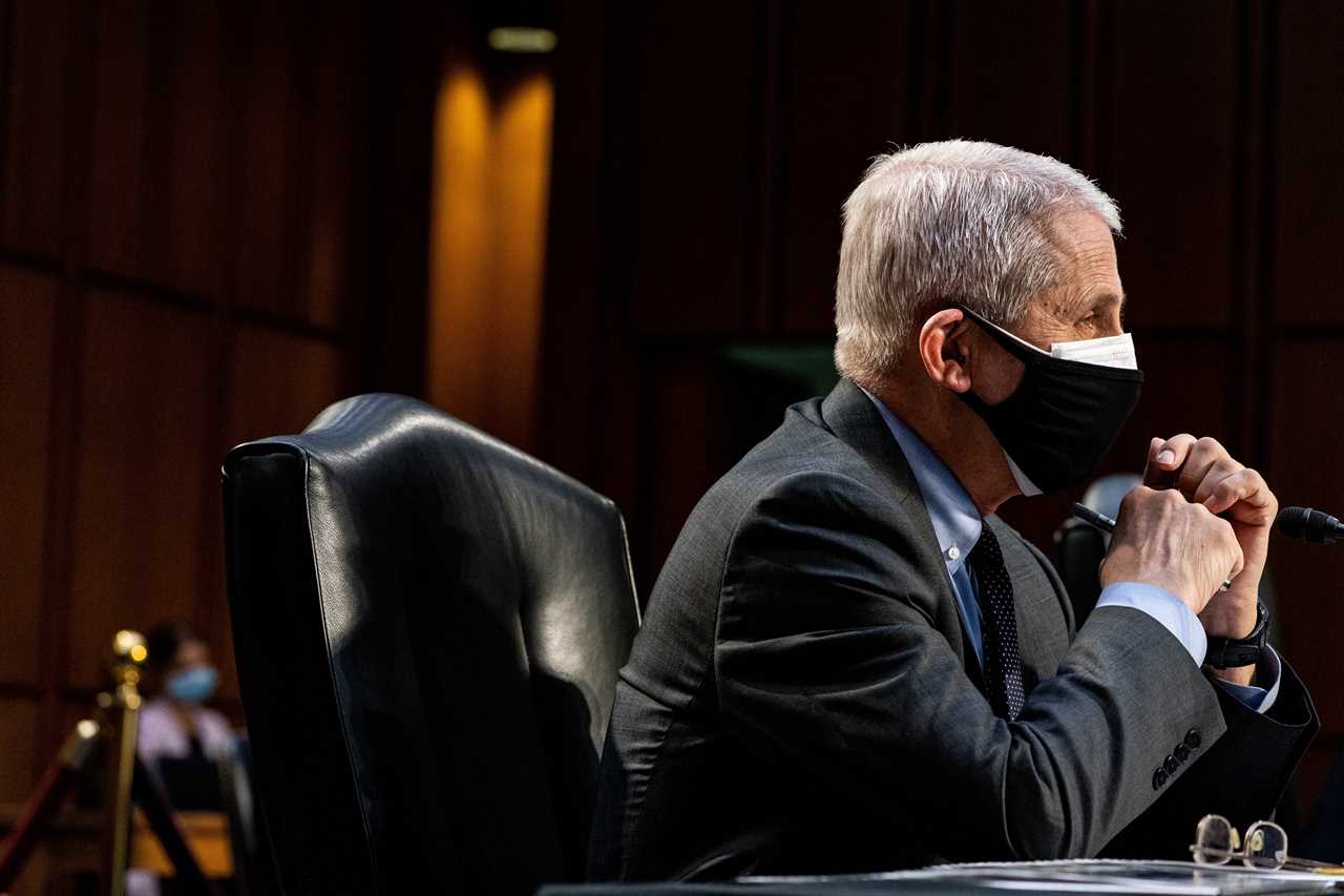 Fauci keeps up his attack on Rand Paul saying Senator ‘doesn’t consider new Covid variants’ after fiery clash over masks