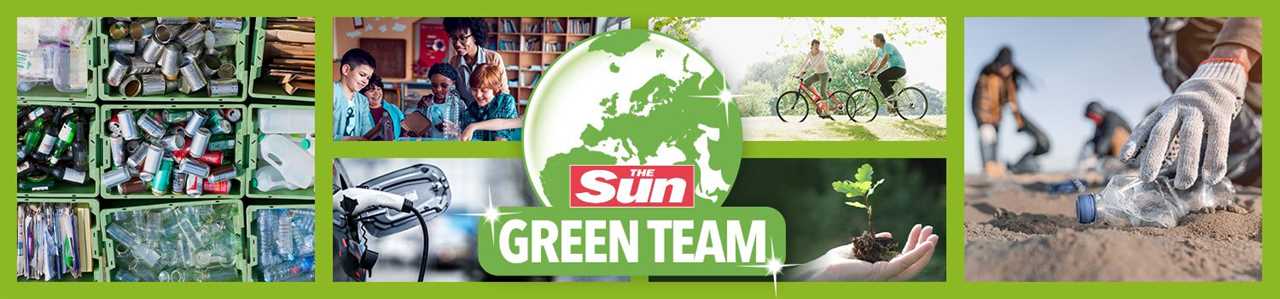 Brits urged to pump pensions into eco-friendly wind farms & solar panels to get bumper returns