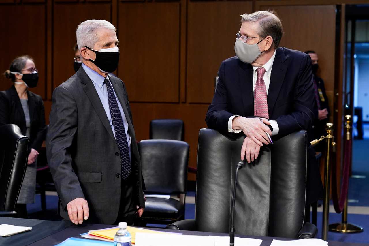 Sen Rand Paul claims Dr Fauci is telling a ‘noble LIE’ by asking vaccinated Americans to keep wearing masks