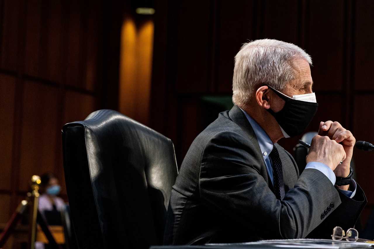 Sen Rand Paul claims Dr Fauci is telling a ‘noble LIE’ by asking vaccinated Americans to keep wearing masks