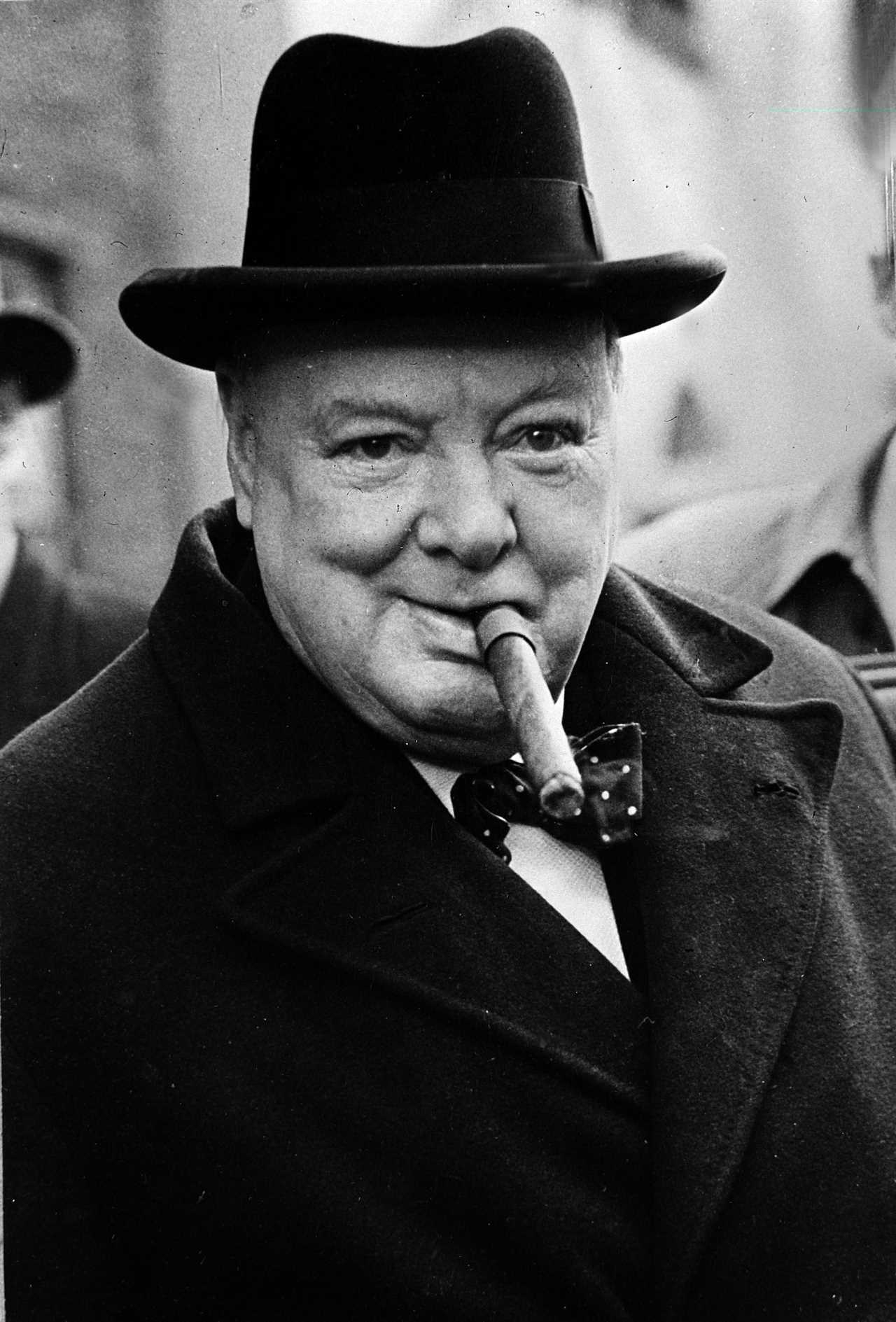 Winston Churchill family tree – from grandchildren to Princess Diana