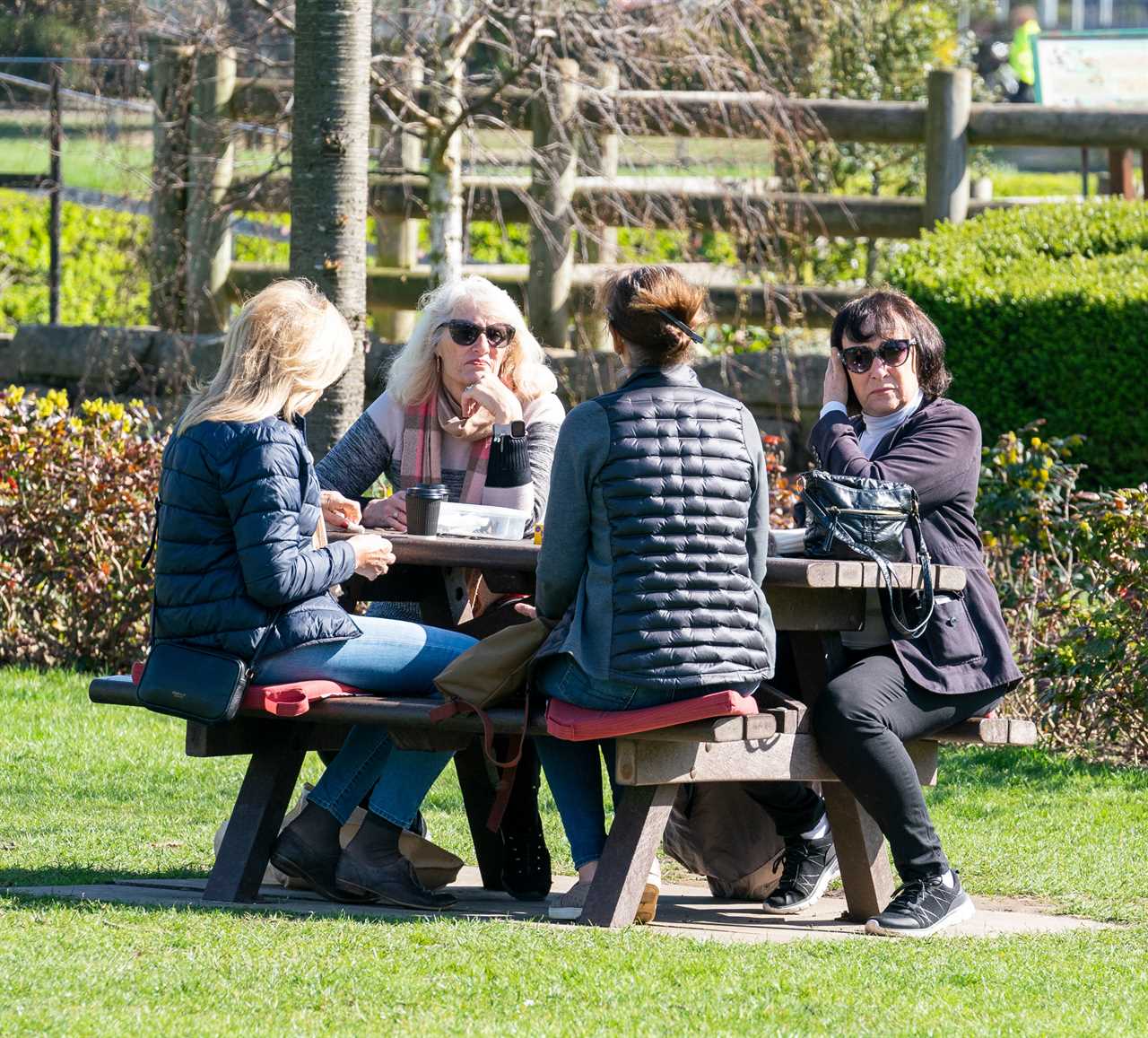 Mini heatwave this week ‘could smash 25C March record’ as Brits flock outdoors to enjoy Rule of Six freedoms