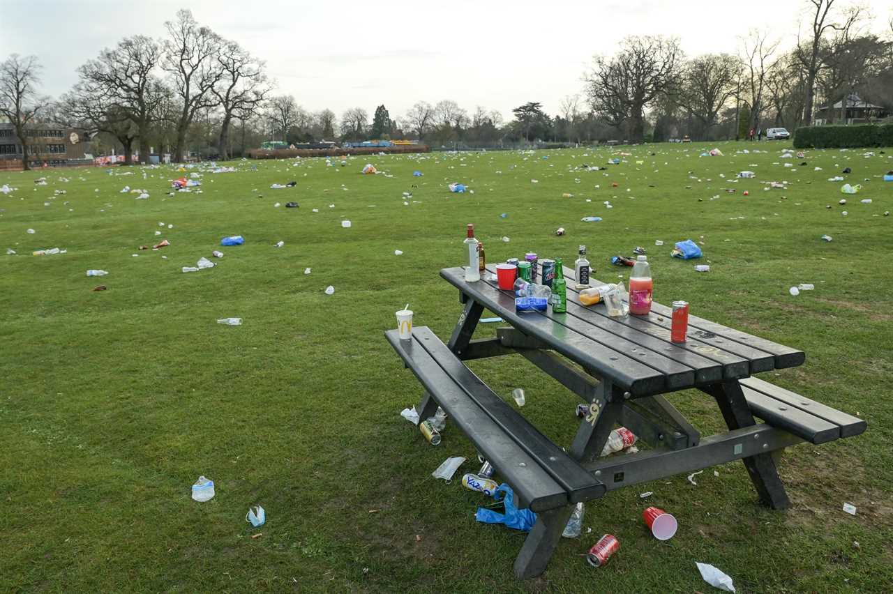 England’s parks, beaches and green spaces strewn with plastic bottles & litter after hottest day of the year