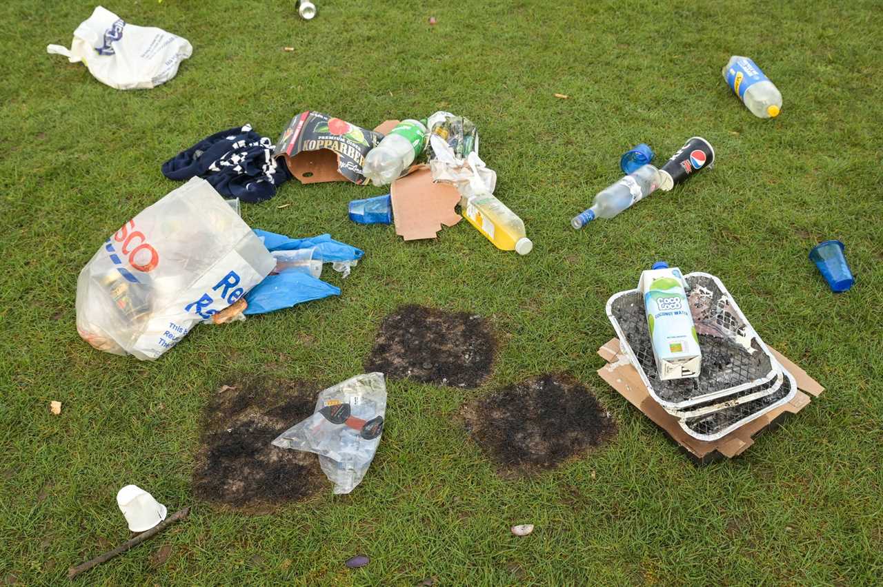 England’s parks, beaches and green spaces strewn with plastic bottles & litter after hottest day of the year