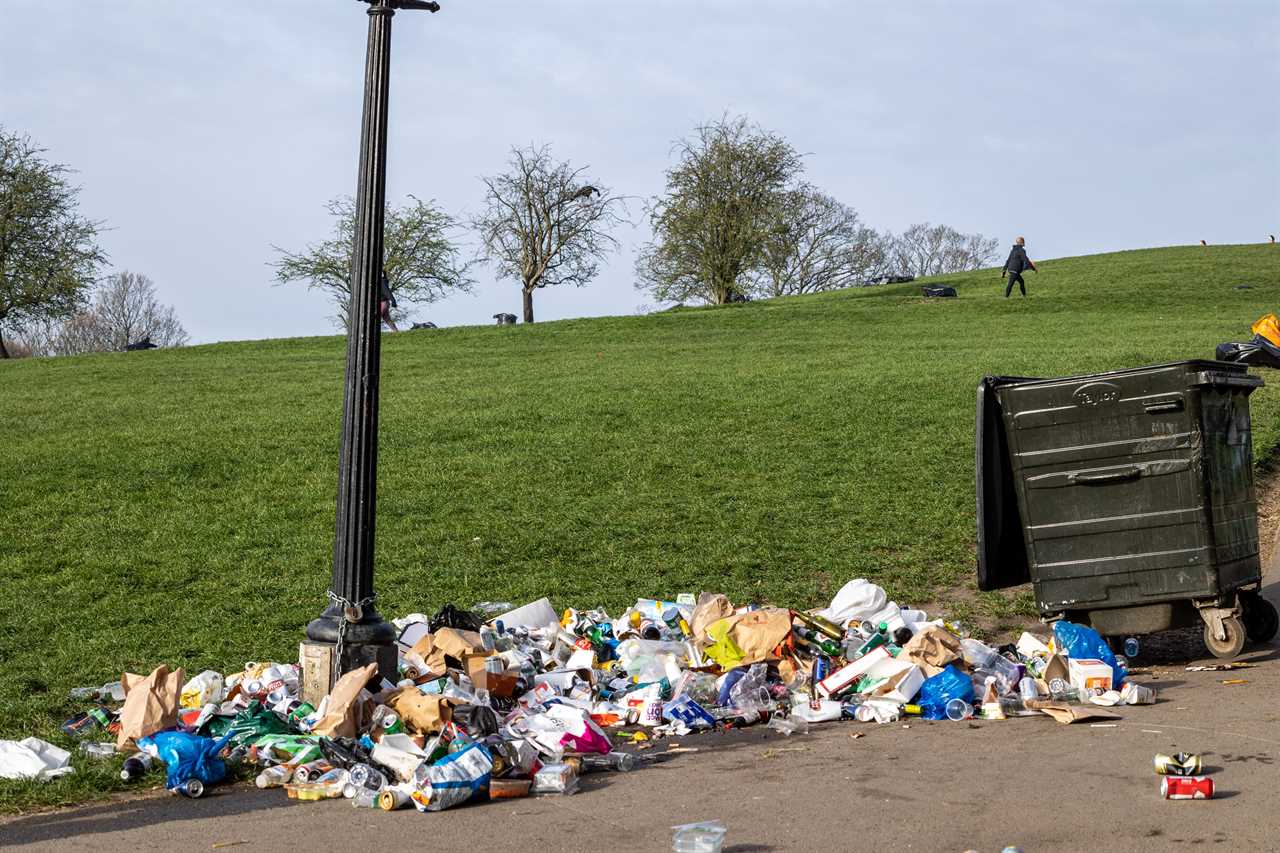 England’s parks, beaches and green spaces strewn with plastic bottles & litter after hottest day of the year