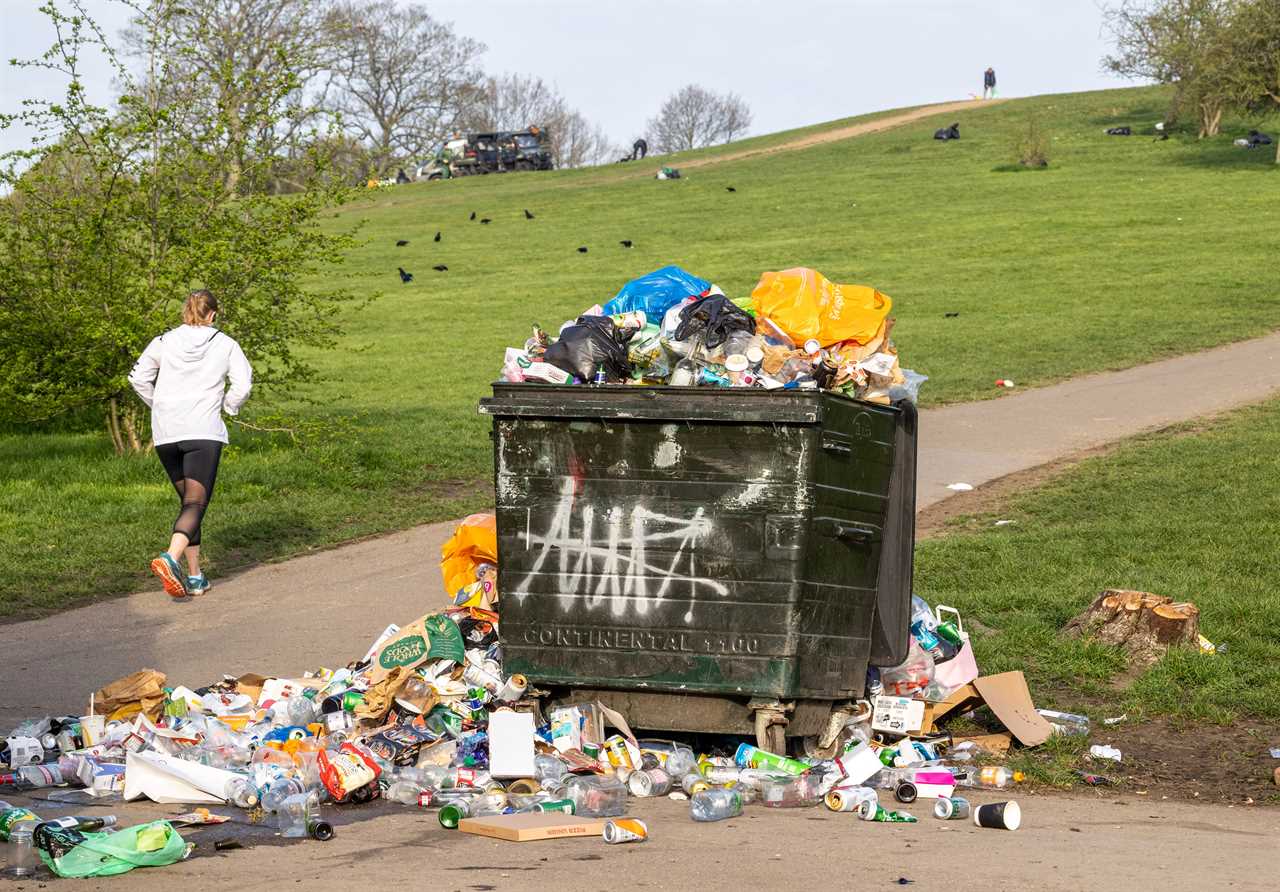 England’s parks, beaches and green spaces strewn with plastic bottles & litter after hottest day of the year