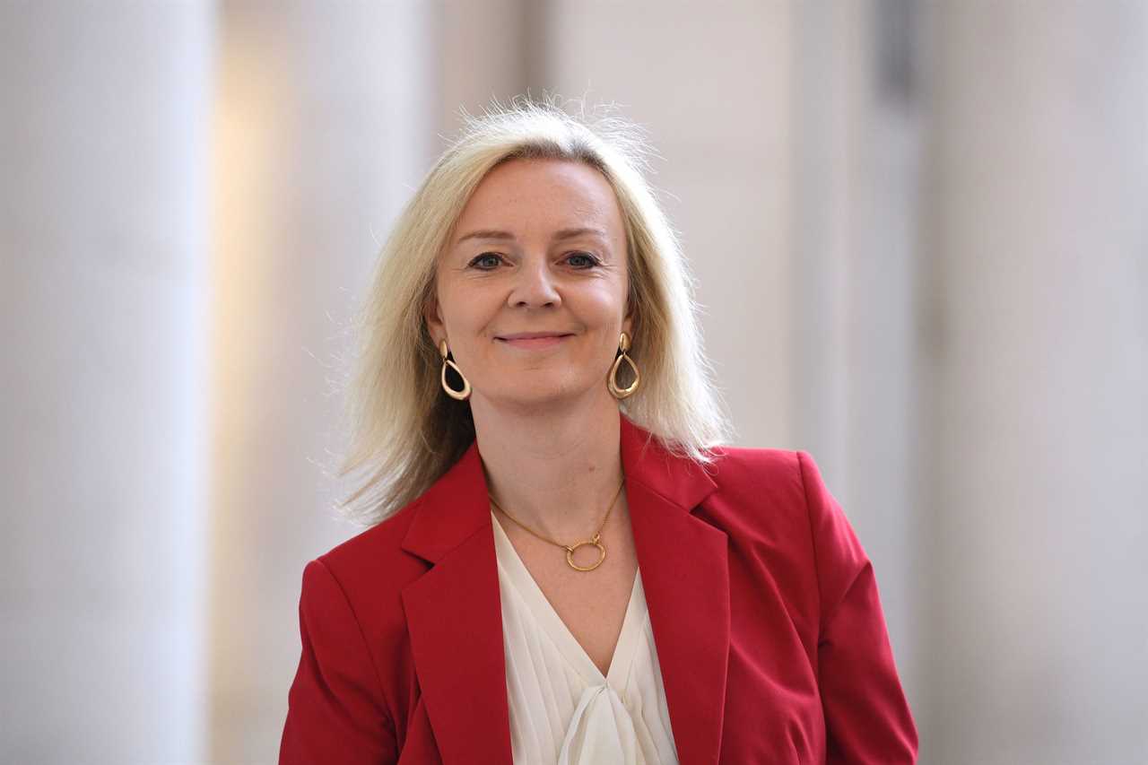 Trade Secretary Liz Truss calls for businesses selling green goods to have global trade tariffs cut