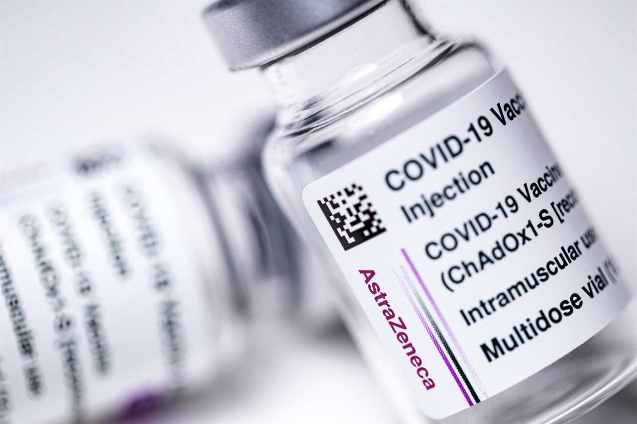 Covid vaccine passports will be short-term ‘bridge to freedom’ & used for mass gatherings before herd immunity kicks in