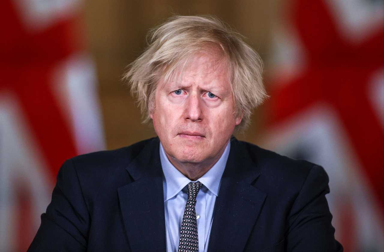 Boris Johnson shows off haircut after getting ‘scarecrow’ barnet snipped as hairdressers reopen