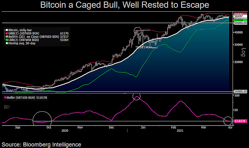 Bitcoin is 'caged bull' ready to escape at $60K — Bloomberg Intelligence