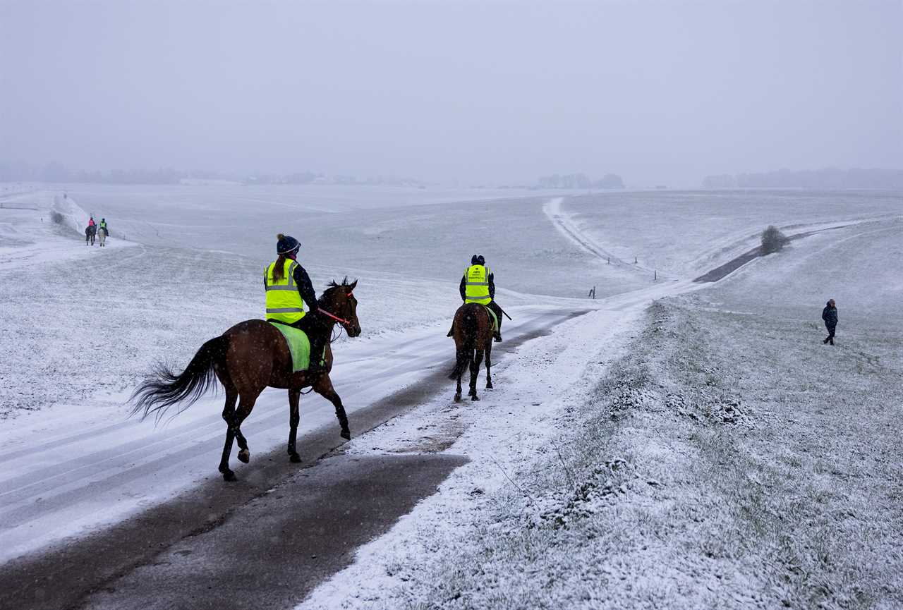 Thirsty Brits brave SNOW & queue from midnight in -3C temperatures as pub beer gardens reopen for first time in months