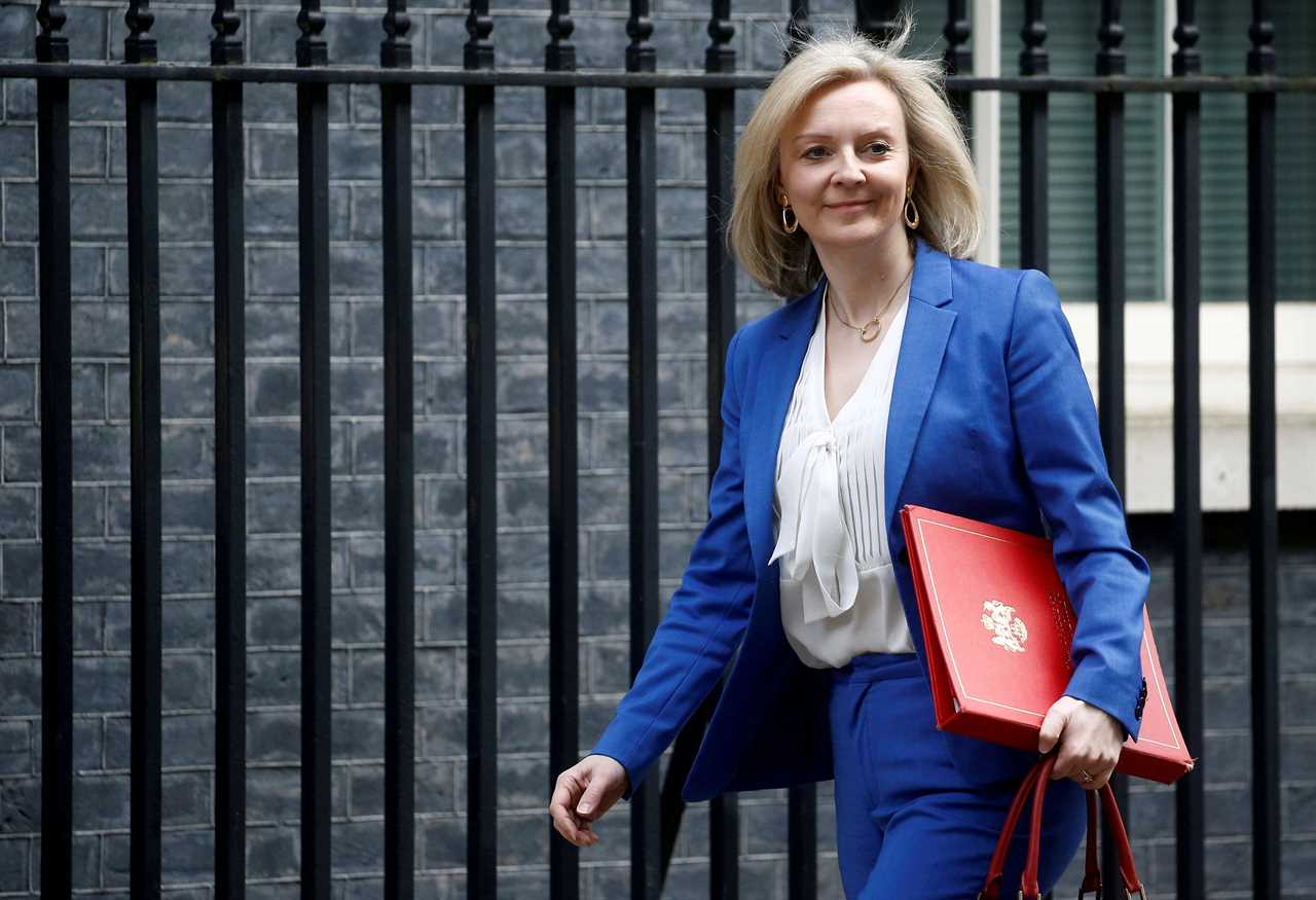 Cabinet minister Liz Truss dragged into David Cameron lobbying scandal