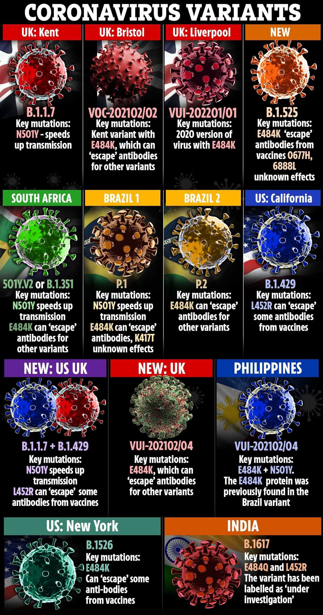 South African variant cases DOUBLE in a month raising fears Covid strains escaping vaccines and roadmap will be delayed