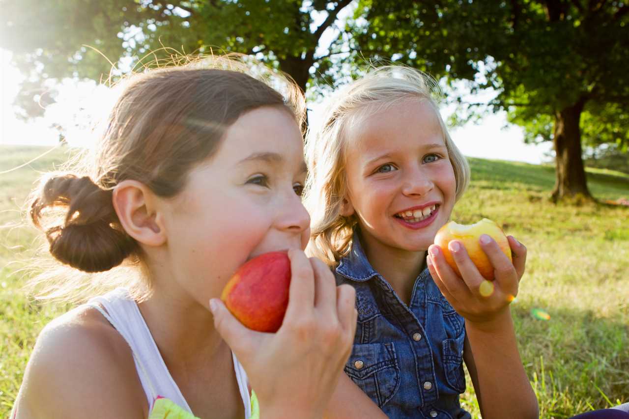 Obesity is a challenge as big as climate change and Covid