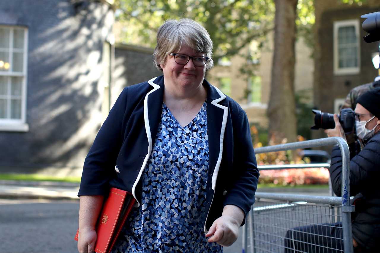 Pensions secretary Therese Coffey said the public aren't interested in the scandals engulfing the Government