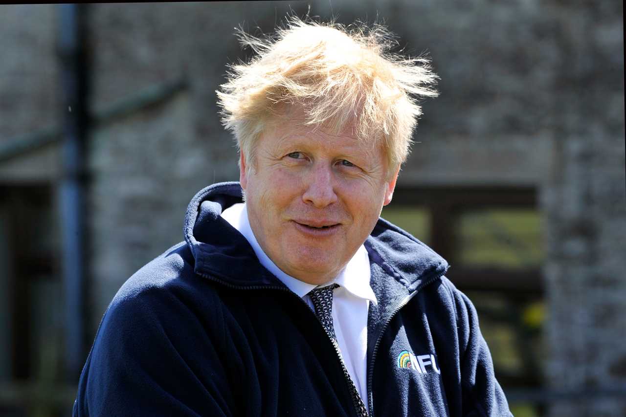 Boris Johnson’s every act proved everything but the callous remark reported