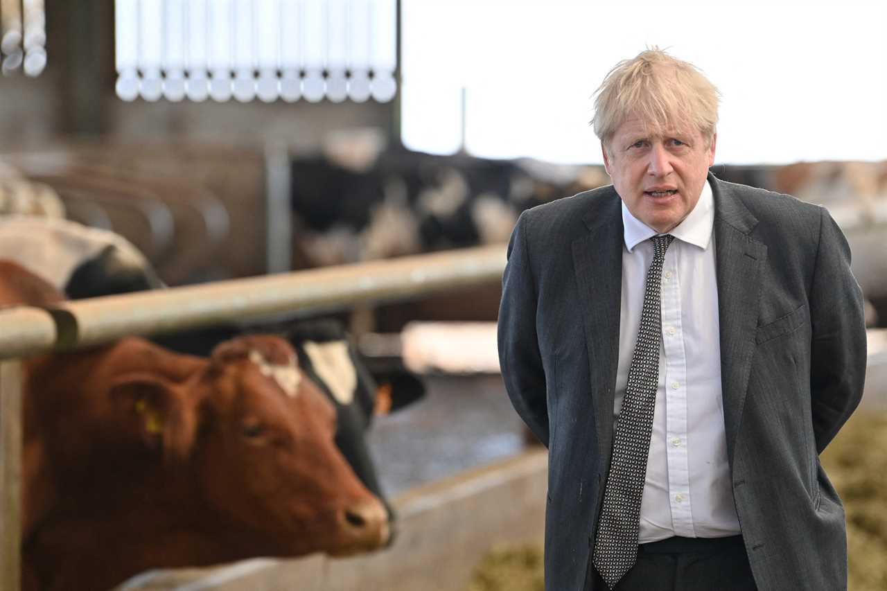 Boris Johnson says Britain has ‘very good chance’ of ‘opening up totally’ on June 21 despite third wave fears