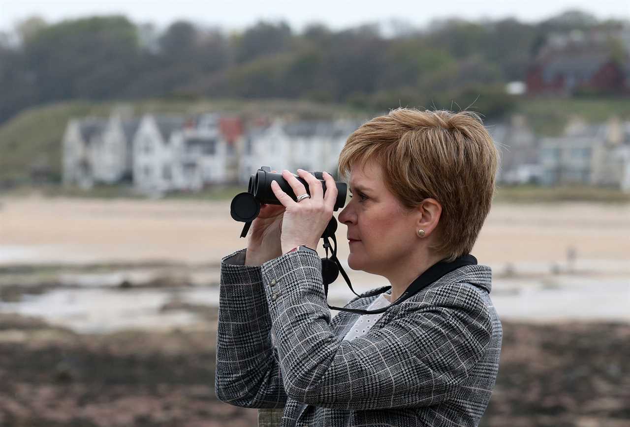 Nicola Sturgeon would be humiliated and lose second independence vote as support plummets, poll reveals