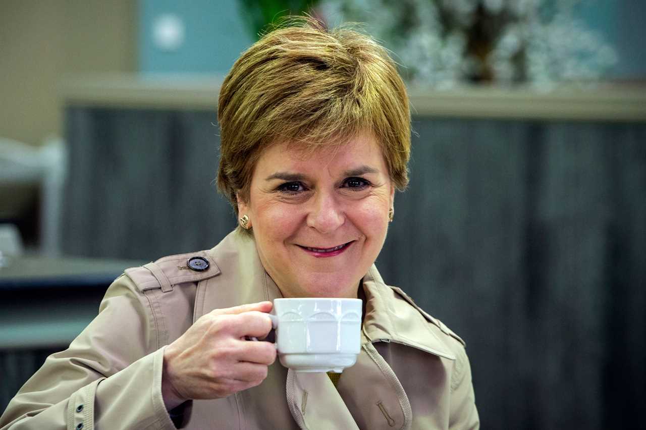 Nicola Sturgeon would be humiliated and lose second independence vote as support plummets, poll reveals