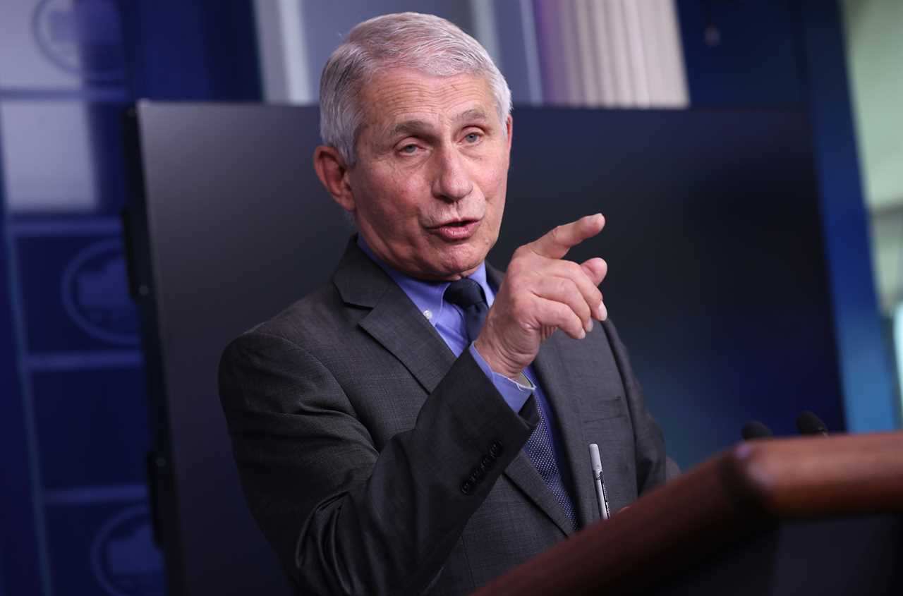 What did Dr. Fauci say about Joe Rogan?