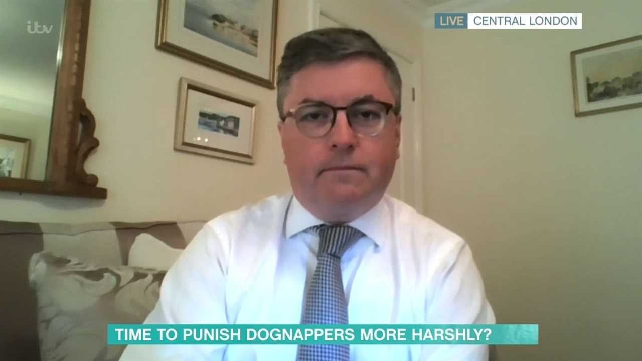 Holly Willoughby dubs Justice Sec the nation’s ‘Chief Pet Detective’ as he vows to crack down on dognapping