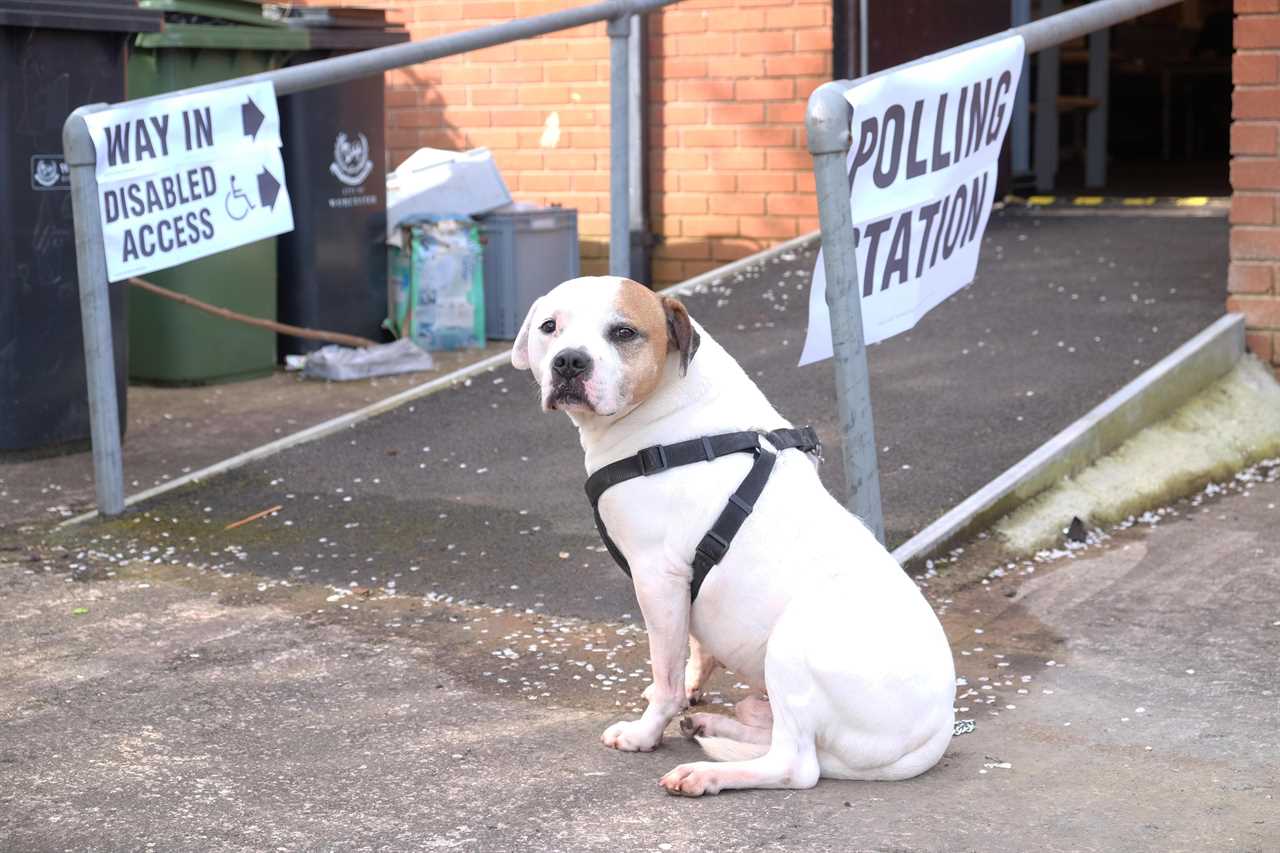 Can I take my dog to the polling station during local elections 2021?