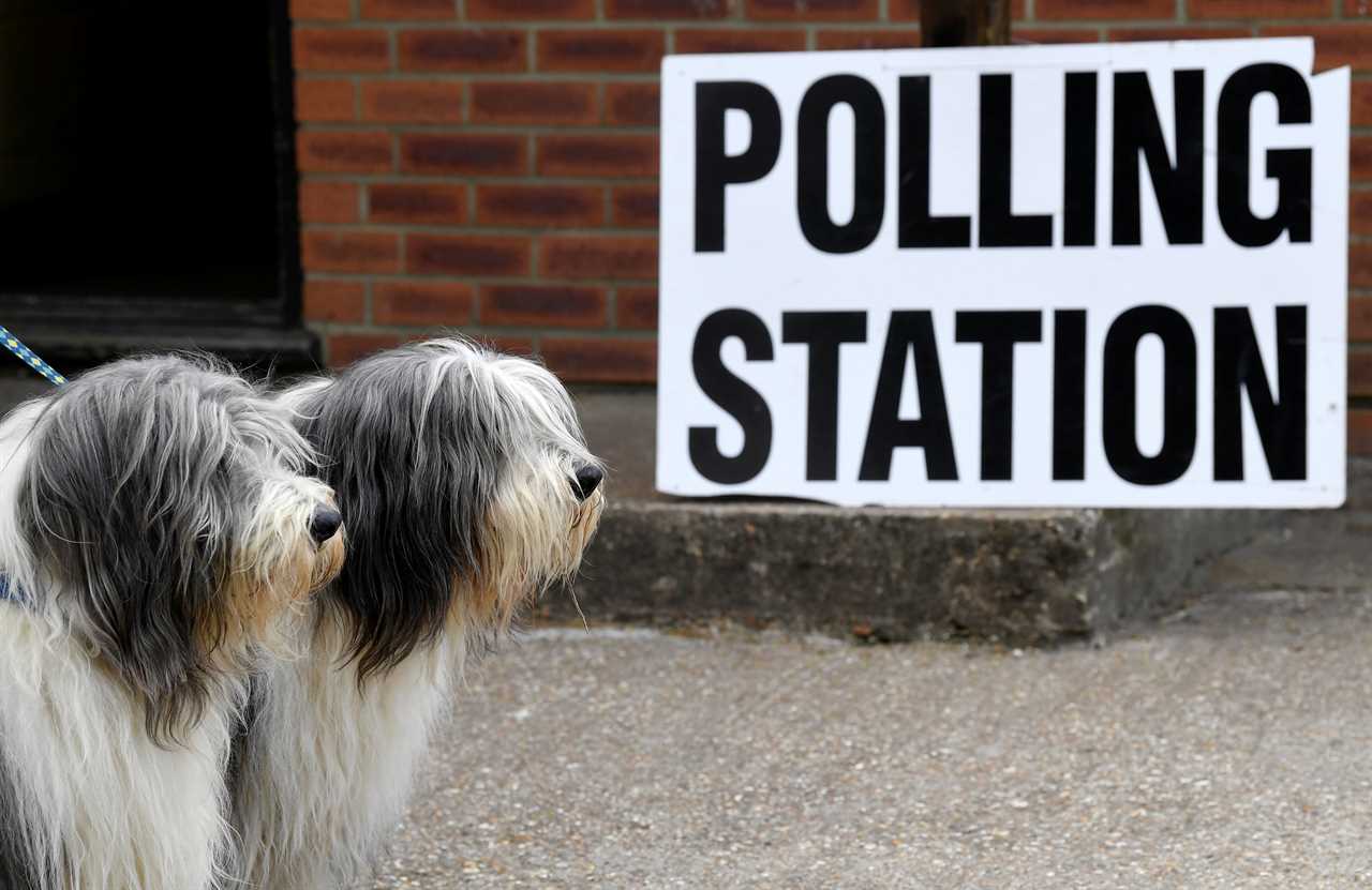 Are you allowed dogs at polling stations during local elections 2021?