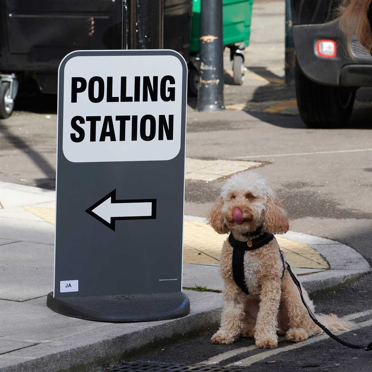 Local elections 2021: All the key declaration timings you need to know TODAY and this weekend