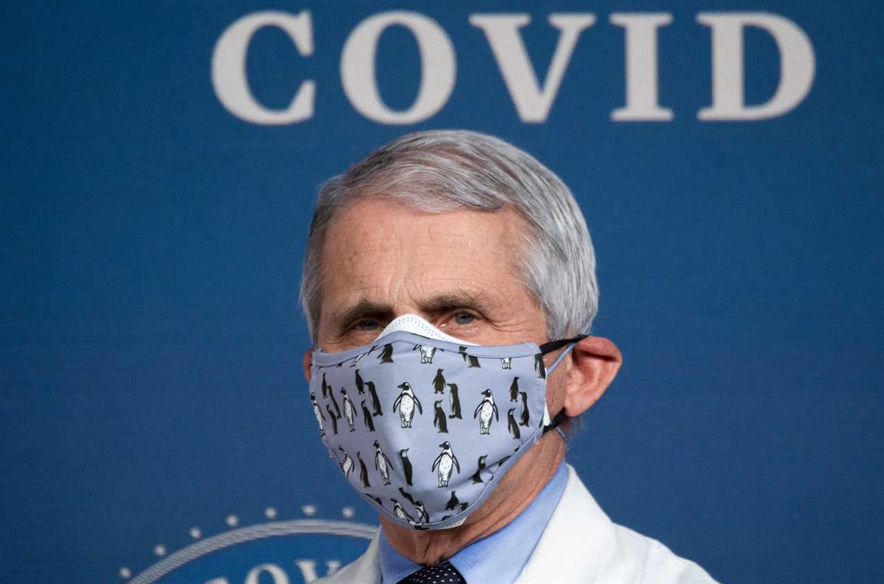 Florida residents prosecuted for not wearing Covid face masks will be PARDONED by Gov DeSantis