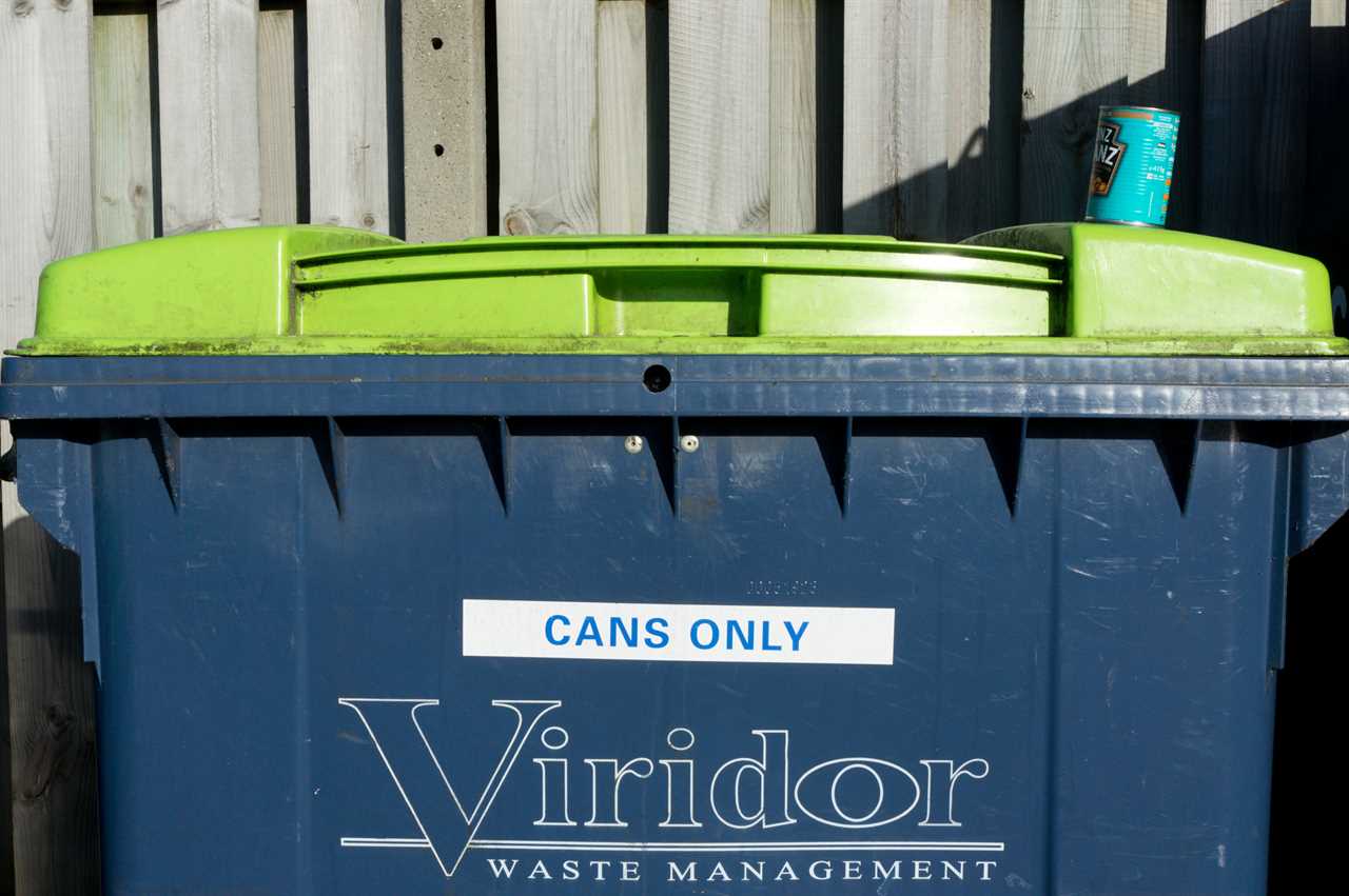 Brits putting out bins will help UK get to Net Zero as army of collectors go green