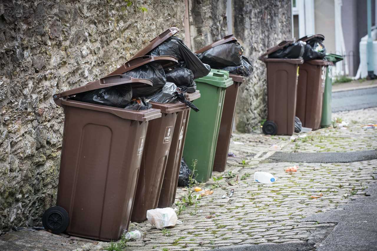 Brits putting out bins will help UK get to Net Zero as army of collectors go green