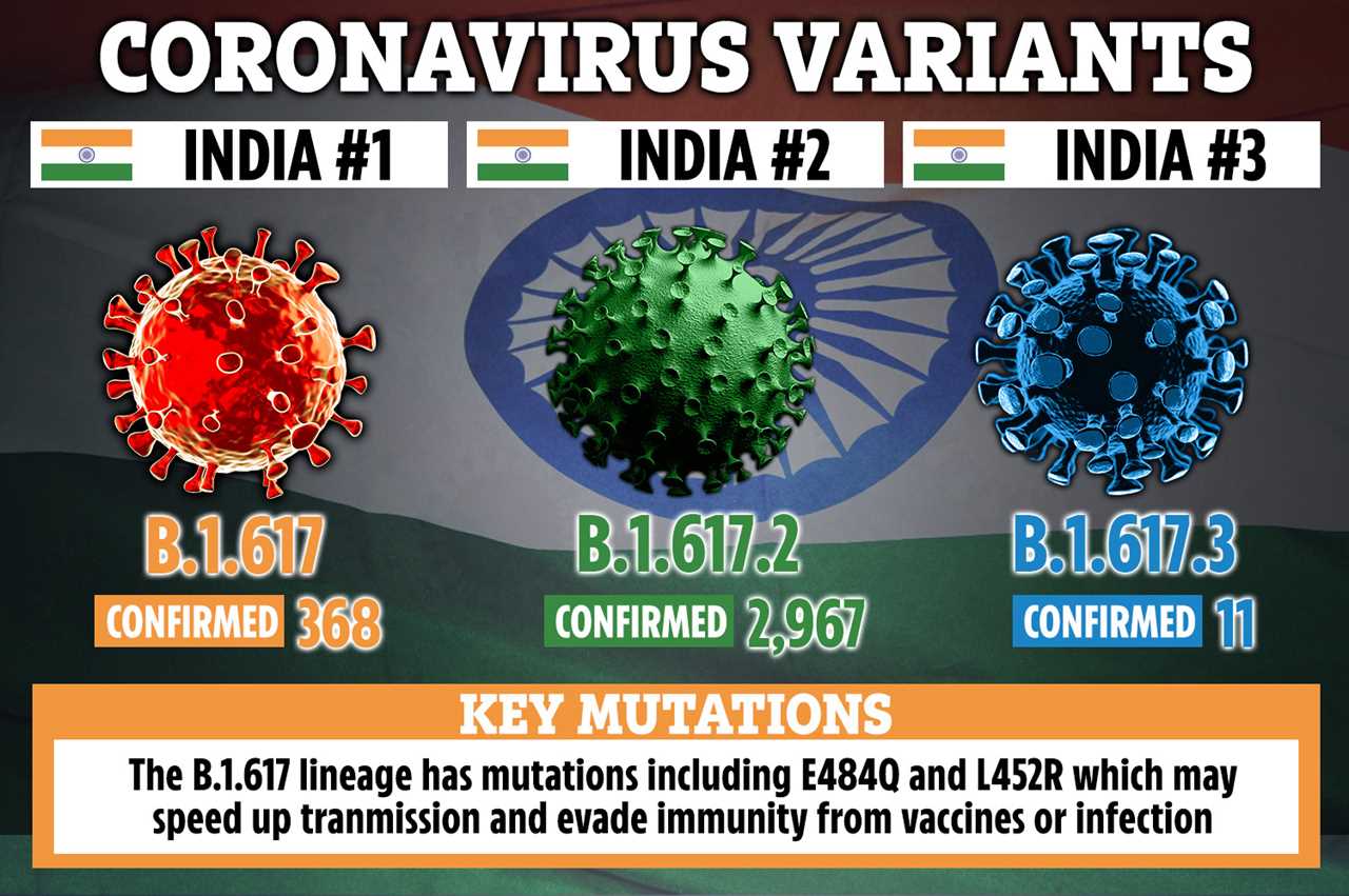 Indian variant cases more than DOUBLE in a week with 3,424 infections now in UK